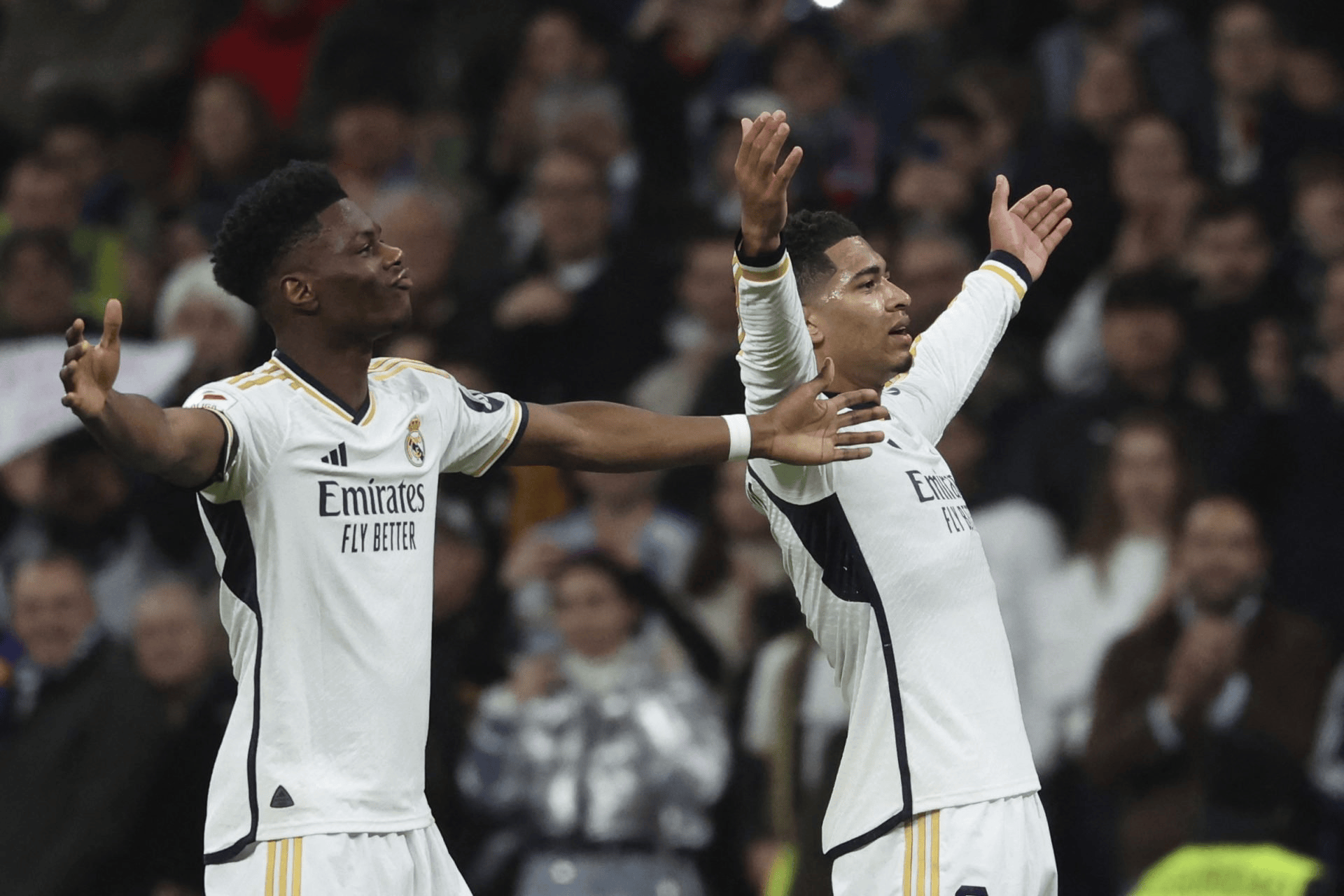 kaiyun-英超倒计时，纽卡斯尔窗口期绝杀压哨，细节引发关注，赛场秩序良好，纪律约束更严格的简单介绍